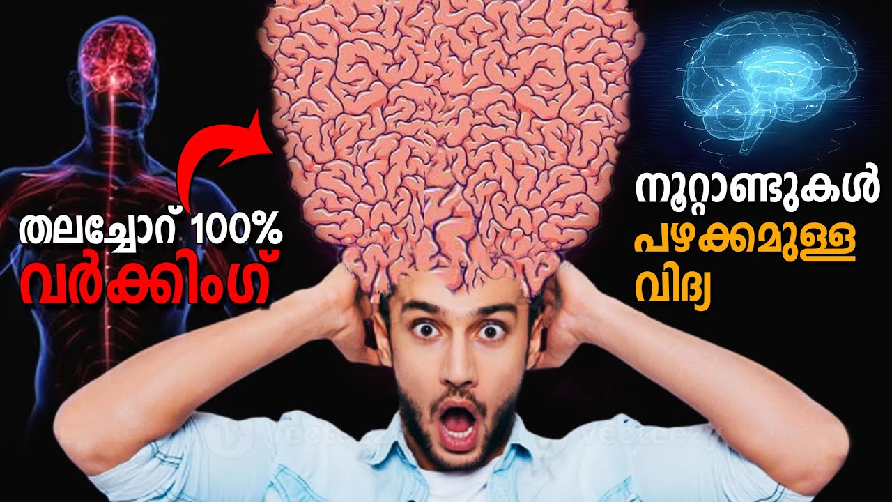 20 ways to use 100% BRAIN power || മനസ്സിനെ എങ്ങനെ മൂർച്ച കൂട്ടാം