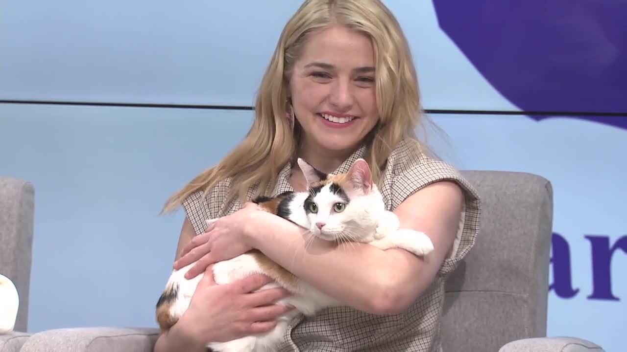 Everyday Iowa - Cedar Valley Humane Society