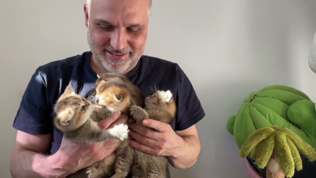 Маленькие Марта, Монро, Мотти, Мартин ❤️