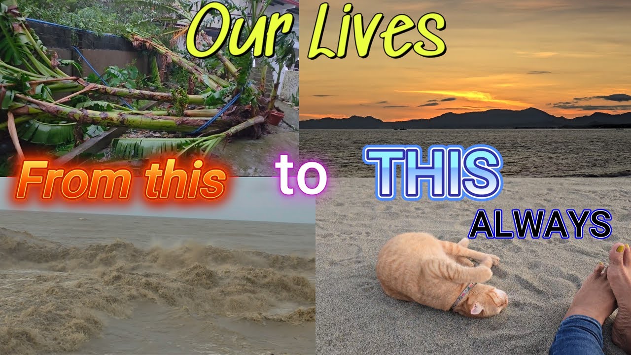 День после тайфуна «Тино» и коррупция в сфере борьбы с наводнениями