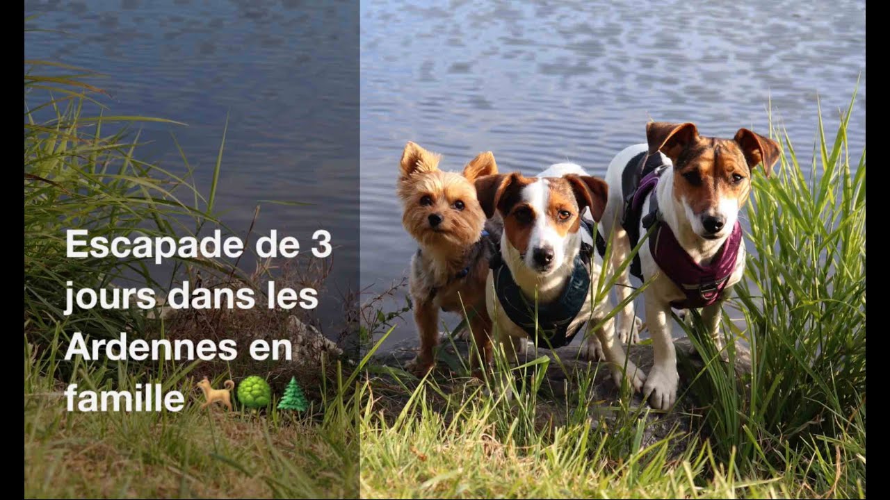 VLOG - Escapade de 3 jours dans les Ardennes en famille 🐕🌳🌲