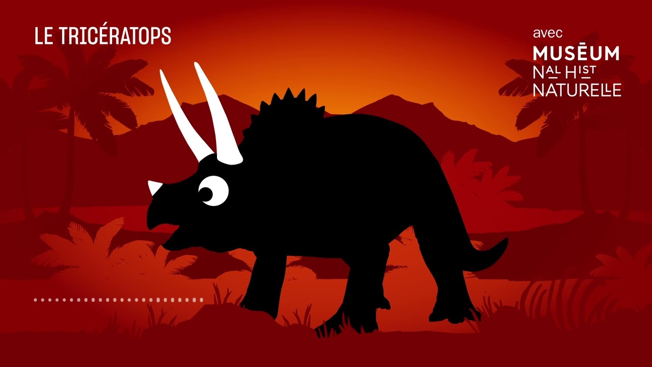 Le Tricératops : une forte tête - Bestioles fossiles