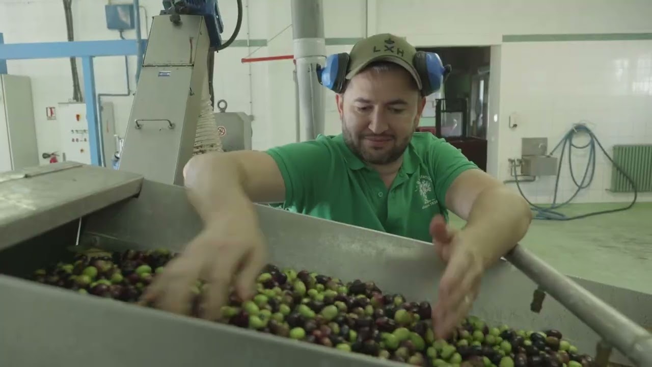 🎬 Film de présentation  | Mise En Boîte Production x Coopérative La Belgentiéroise 🫒