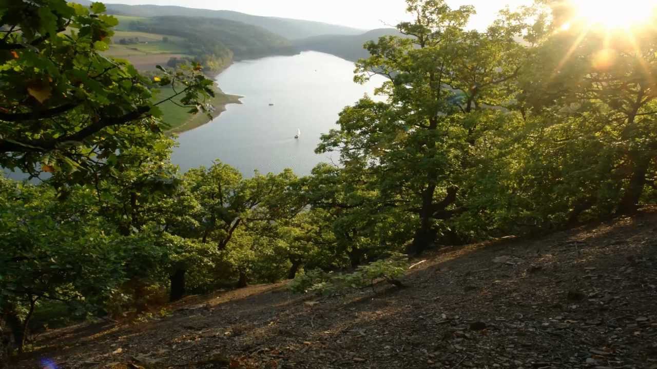 Naturschutzgrossprojekt Kellerwald-Region