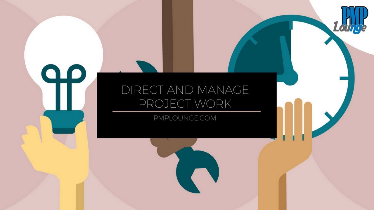 Direct and Manage Project Work process
