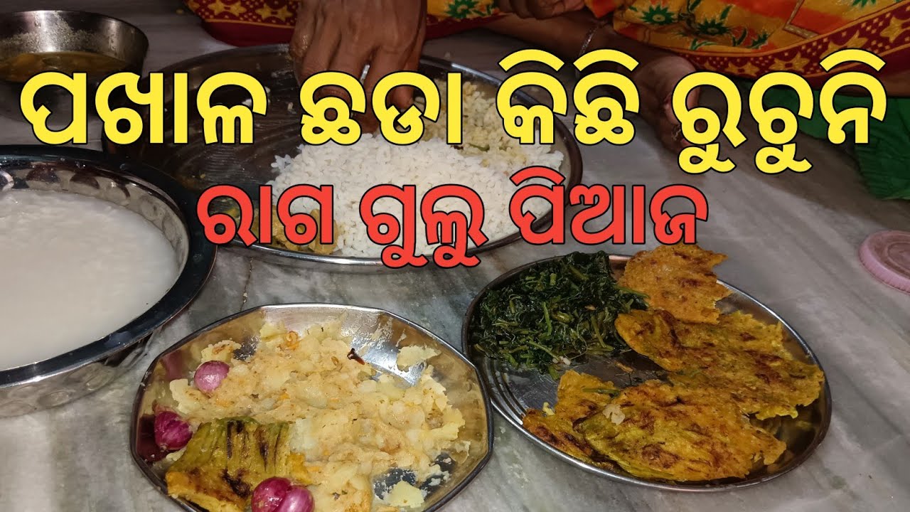 ପଖାଳ ଛଡା କିଛି ରୁଚୁନି 😜😜😜 ମିକ୍ସଚର ବିନା ପଖାଳ ଅଧୁରା | Minivlog | Dailylifestyle |