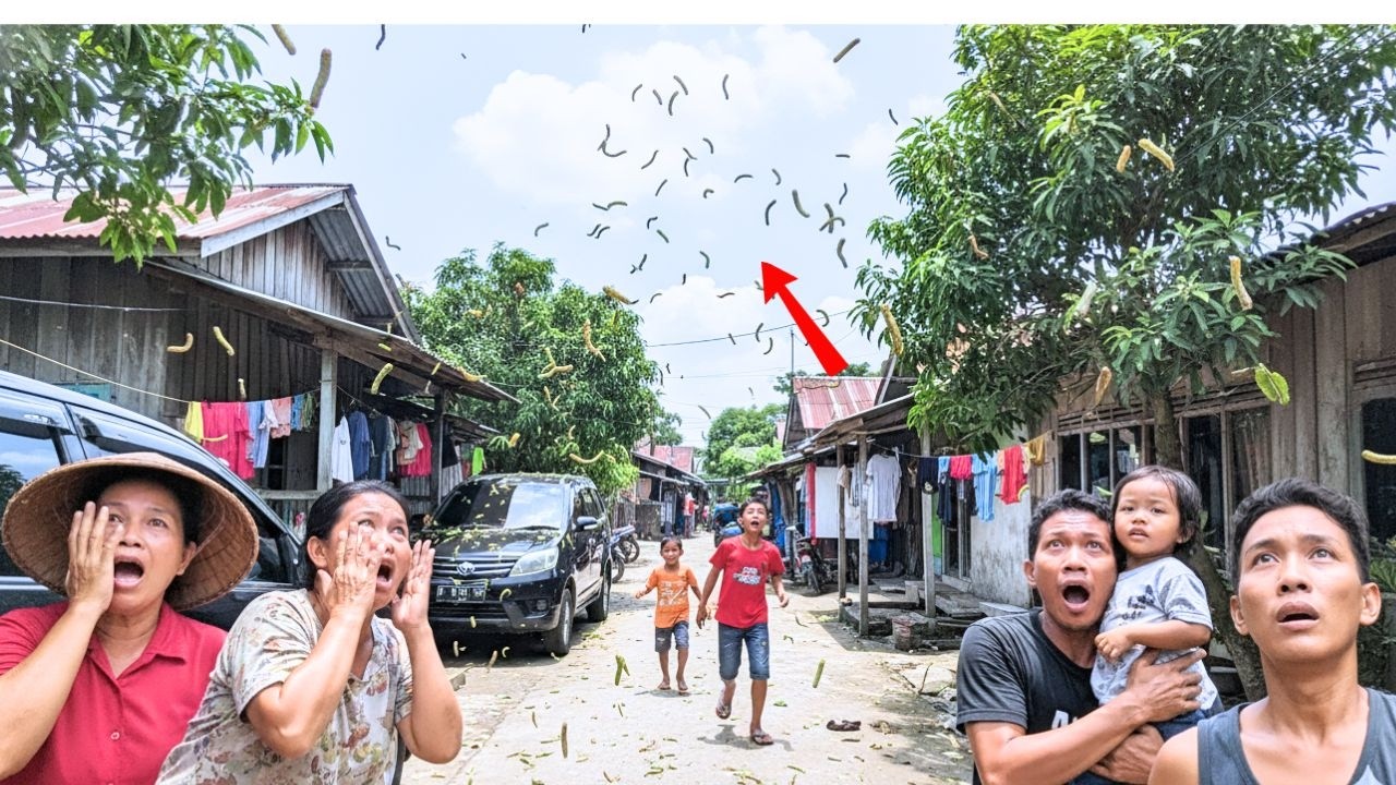 CILACAP HEBOH‼️ Hujan Ulat Turun Mendadak, Warga Rekam Fenomena Tak Biasa!