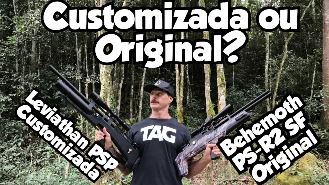 Behemoth PS-R2 ou Leviathan Customizada? Comparação
