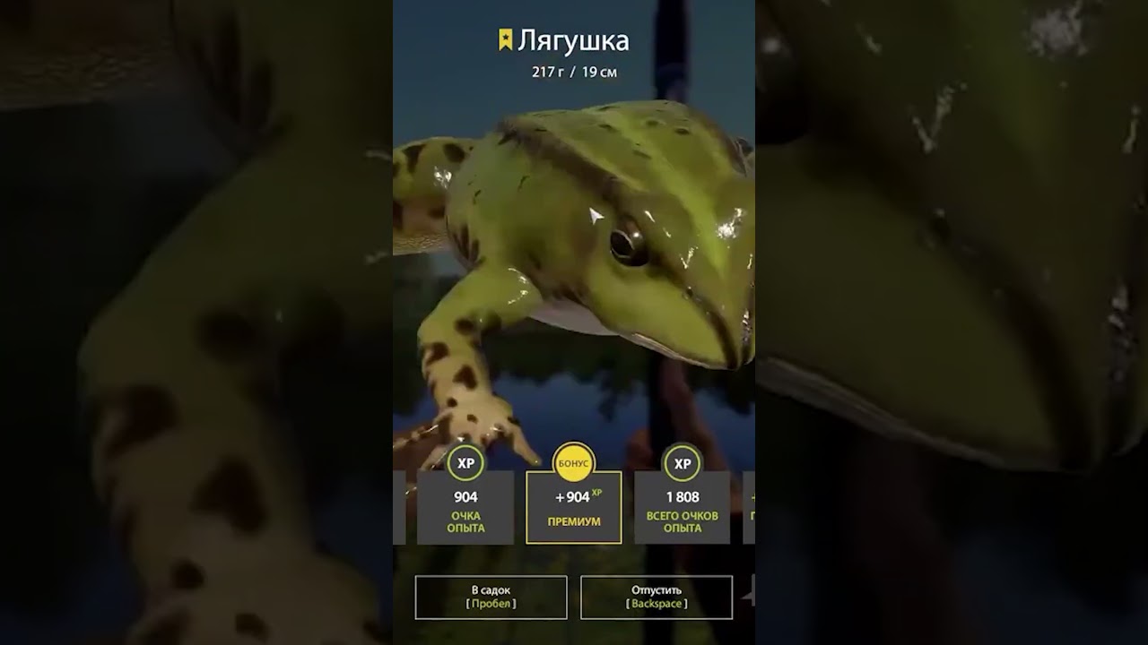 Трофеи на комарином. Награда получена #rf4 #русскаярыбалка4 #fishing #рр4