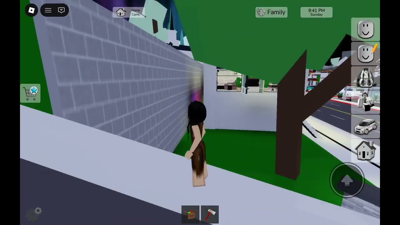 Trying to live with no house and no money for 24 hours, roblox