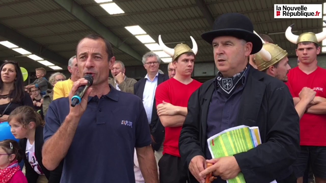 VIDÉO. Parthenay : 35 équipes au top avec leur vache