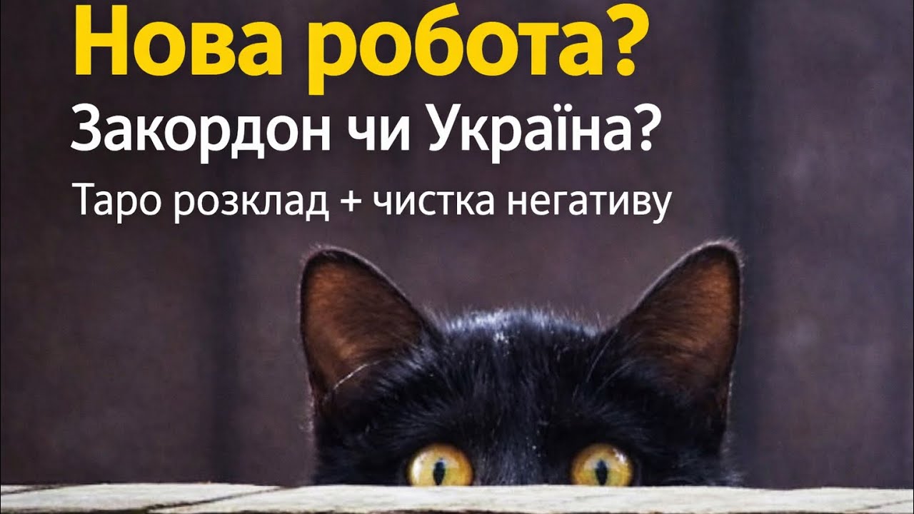 Як правильно і мудро завершити стару роботу? Шукати нову роботу за кордоном чи повернутись в Україну