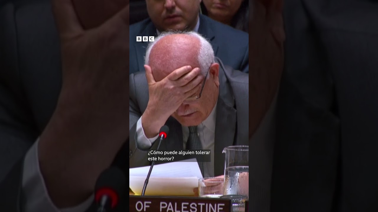 El embajador palestino ante la ONU rompe a llorar por los ni&ntilde;os en Gaza