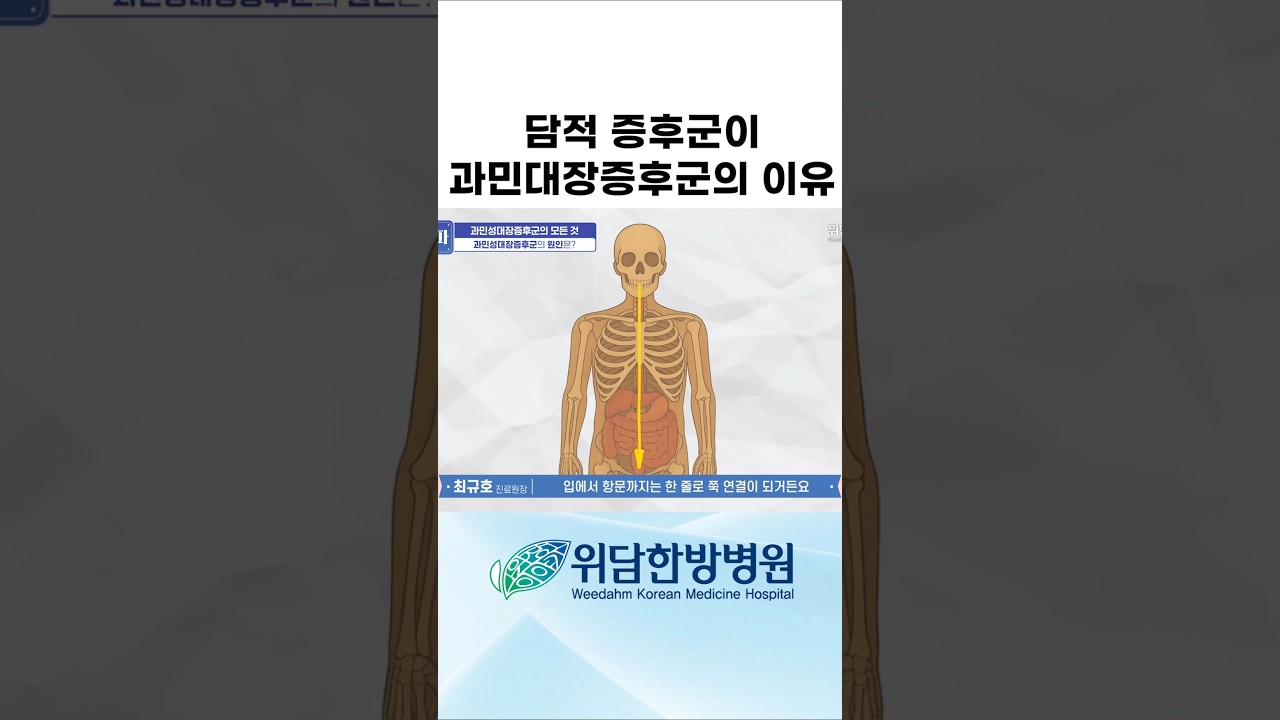 [위담한방병원] 담적 증후군과 과민대장증후군 #담적 #증후군 #과민성대장증후군 #과민대장증후군 #위담한방병원 #위장