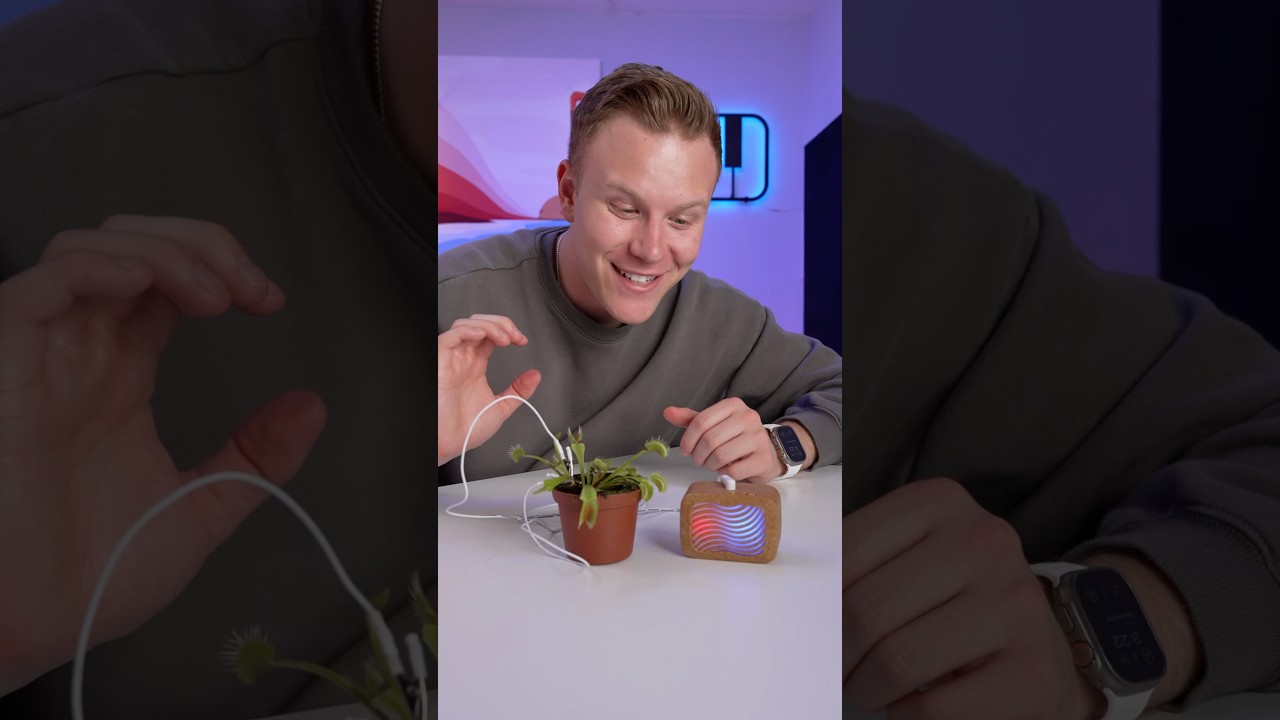 Plants Make Music?? @PlantWave