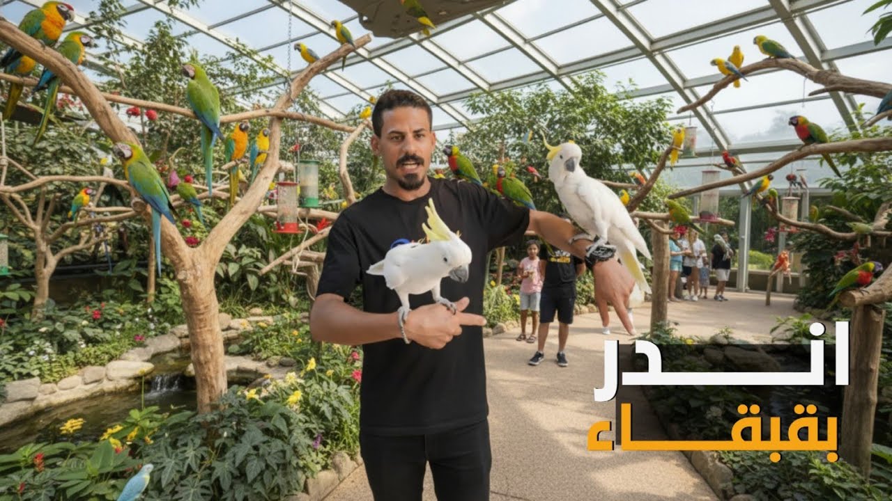 ببغاء يحجي 400الغه معقوله 🔥🥺