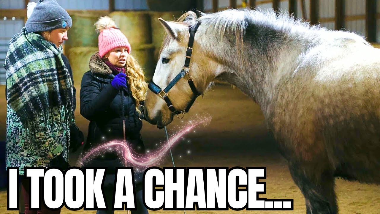 I Finally Did It! Hosting My First Horse Clinic…
