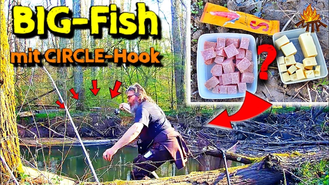 Allround Angeln auf große Friedfische | Spürangeln auf Barbe und Döbel