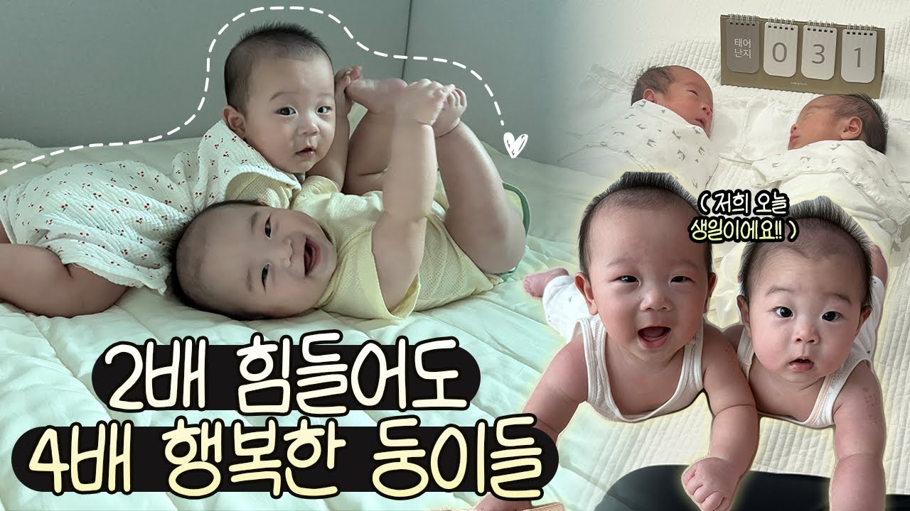 쌍둥이 육아.. 2배 힘들어도 4배 행복하니까..!! 감동적인 둥이들 성장동영상 📽️
