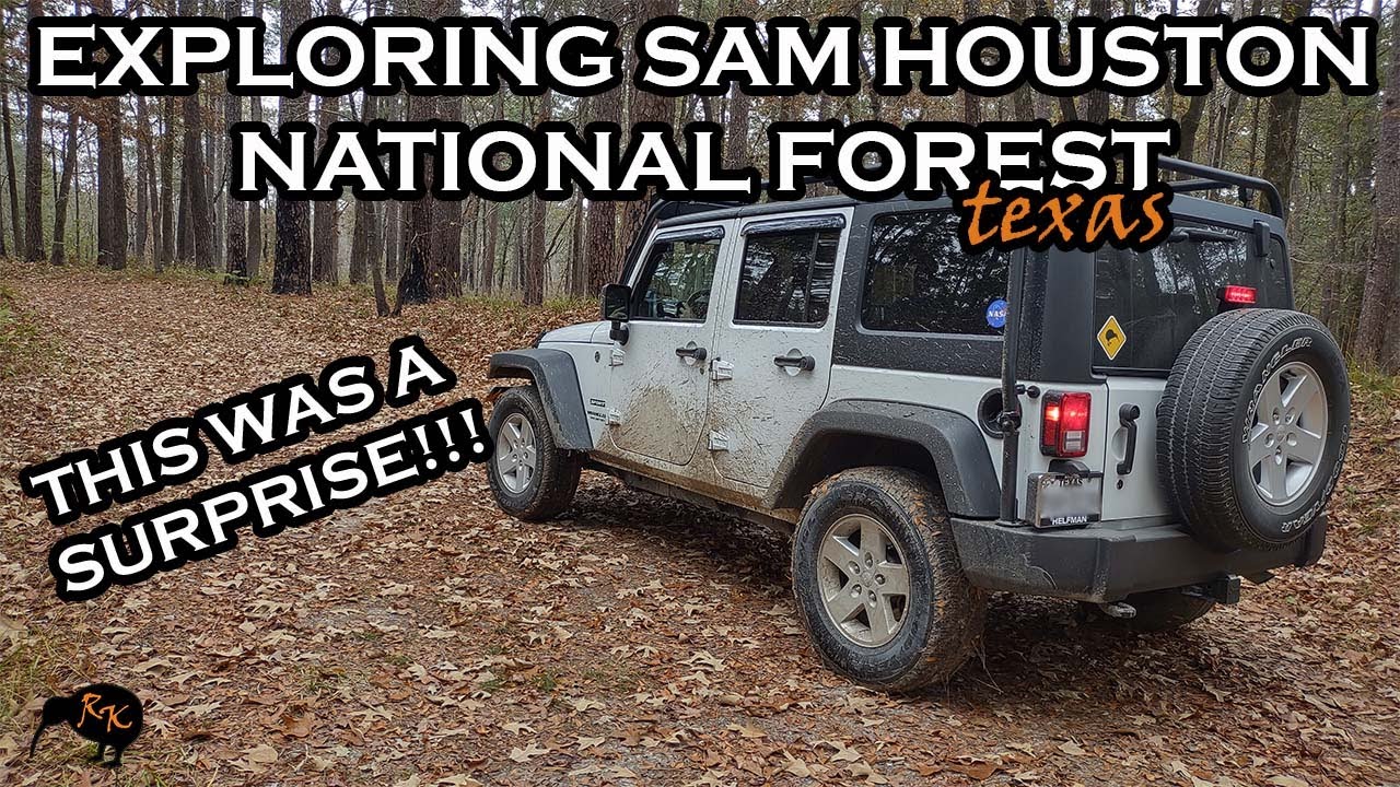 THINGS TO DO IN HOUSTON | Sam Houston National Forest & Lake Conroe | Texas | Public Off Road Trails