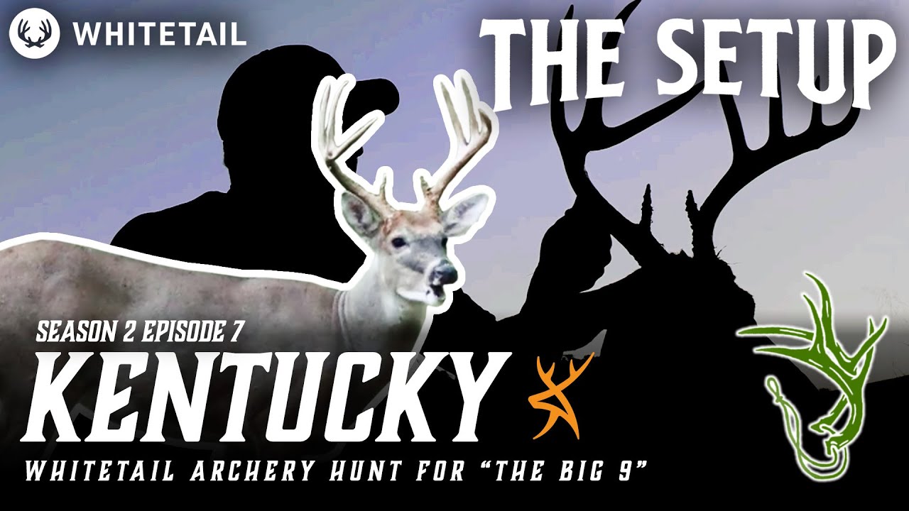 Kentucky Whitetail Archery Hunt for 
