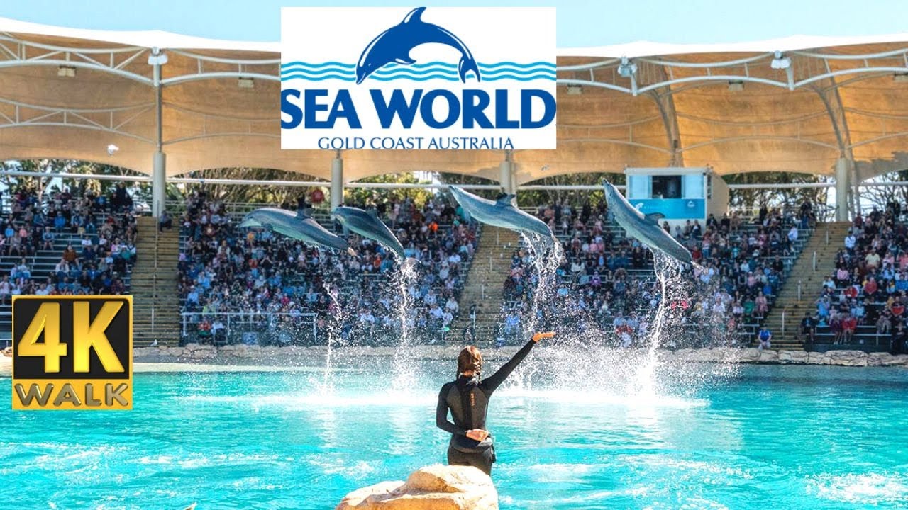 Seaworld Gold Coast, Australia 🇦🇺 4K Walk Tour