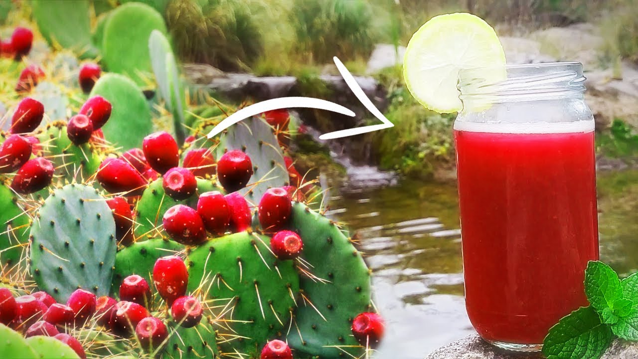 C&oacute;mo hacer licuado de tunas | Adelgaz&aacute; y nutrite con &eacute;sta deliciosa fruta
