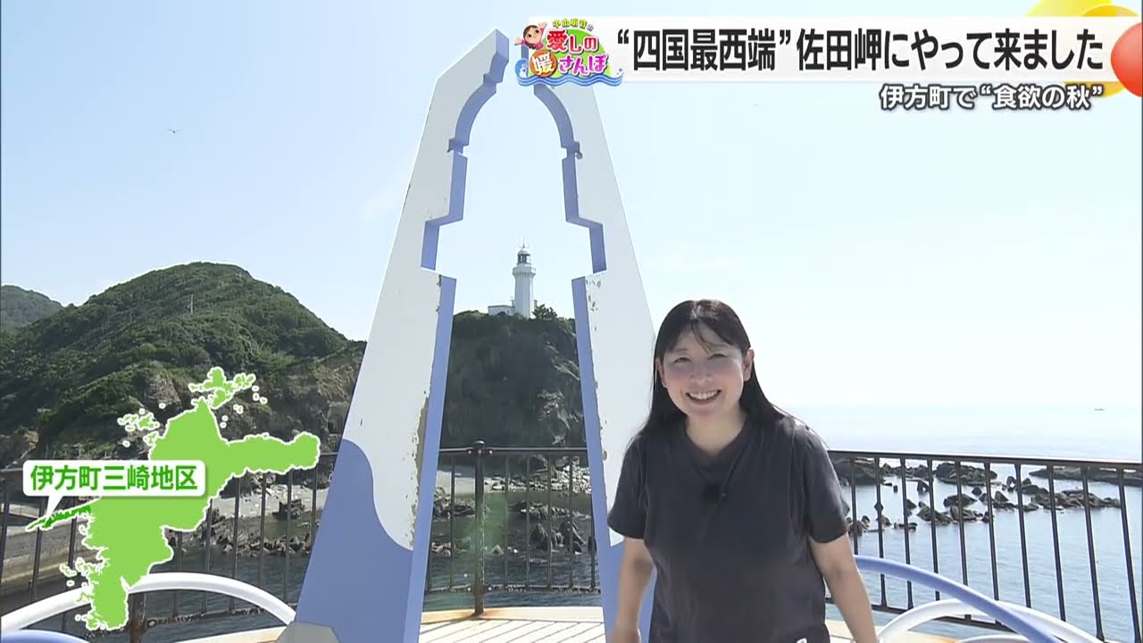 【媛さんぽ】伊方町でイセエビをいただきます！