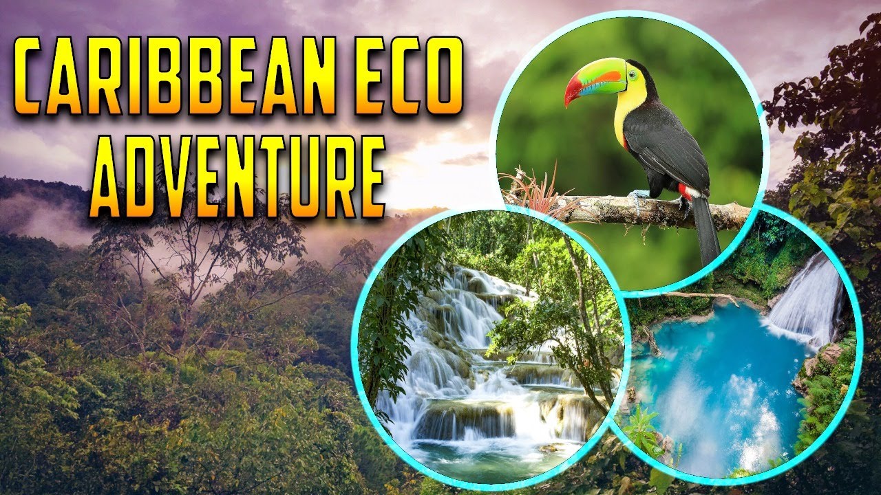 Caribbean Eco Adventure: Must Visit Caribbean Rainforest, Waterfall, and Wildlife