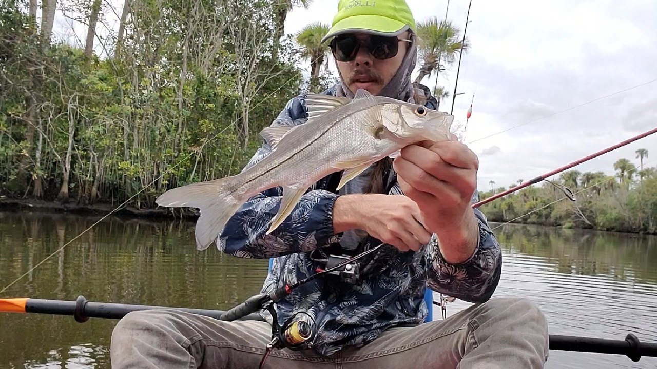 Bluegill Rods for Weird Snook Species