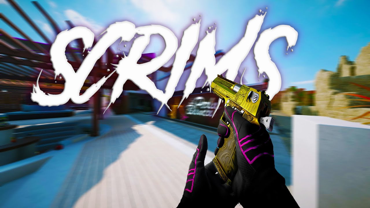 𝒪𝓃𝓁𝓎 𝒮𝒸𝓇𝒾𝓂𝓈 - HIGHLIGHTS [R6-PC]