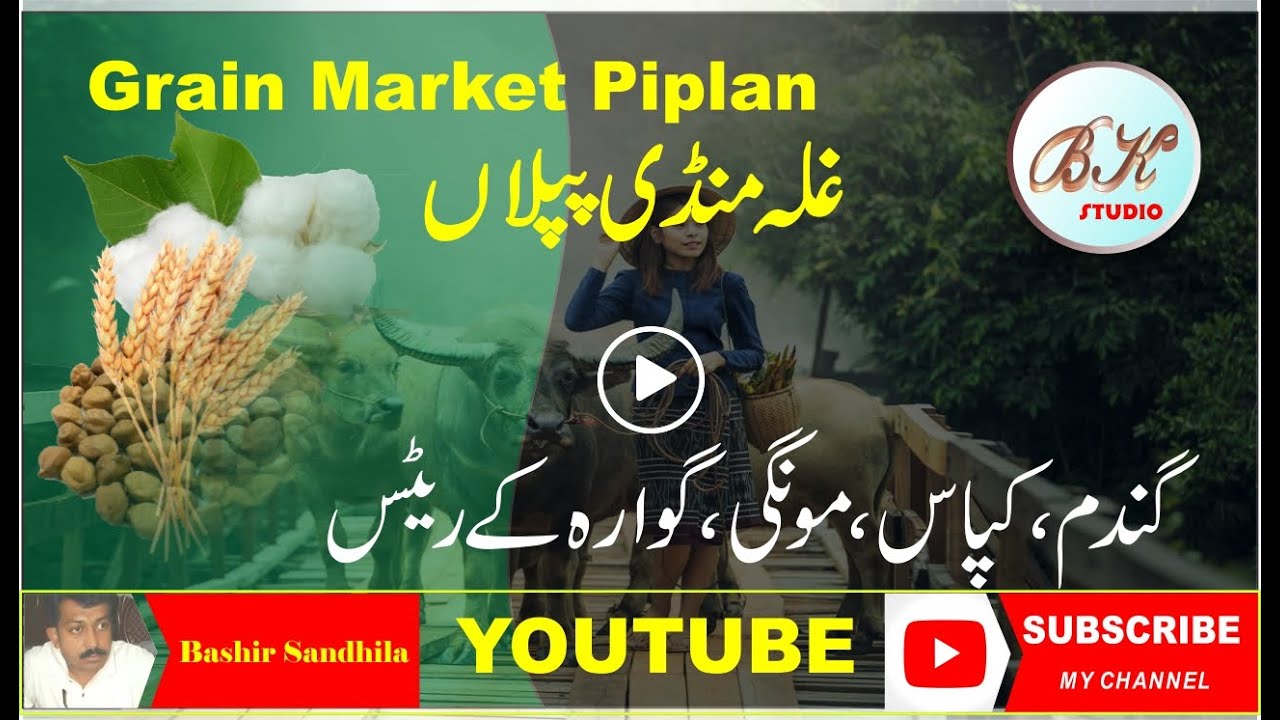 Ghala Mandi Piplan ll Latest update ll Bashir Sandhila