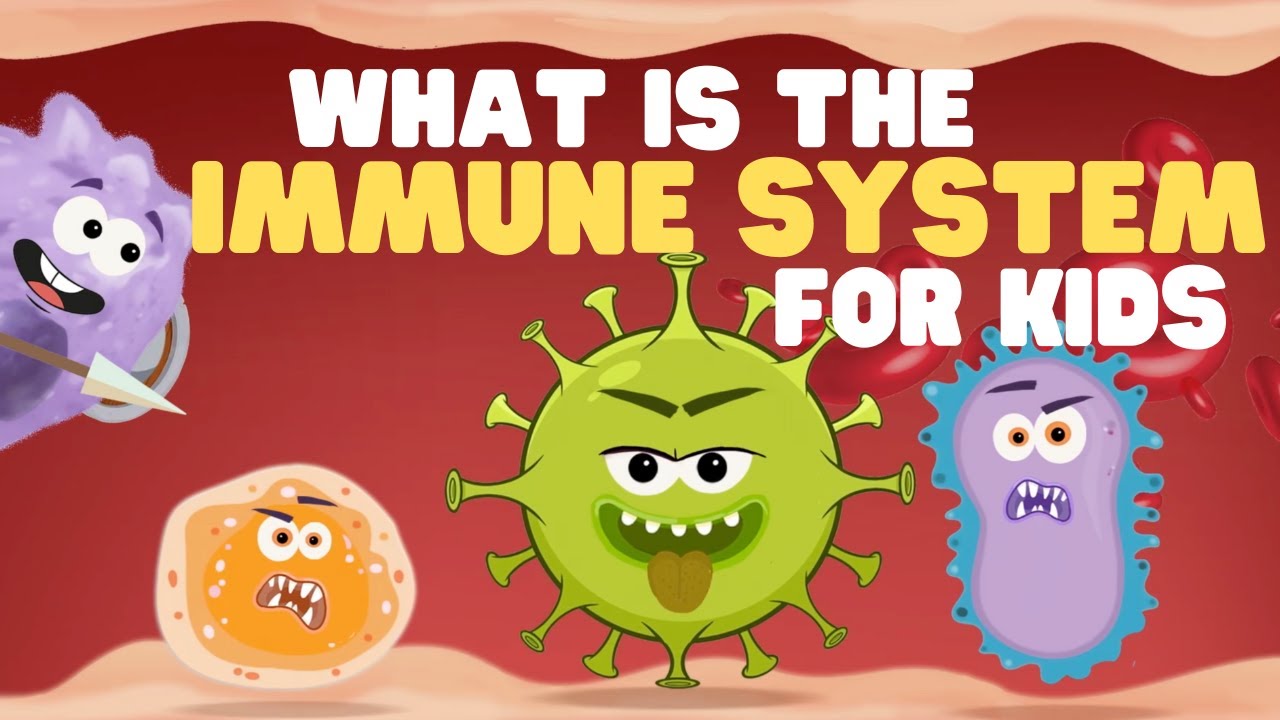 What Is the Immune System for Kids | Learn all about how the body fights off bad germs