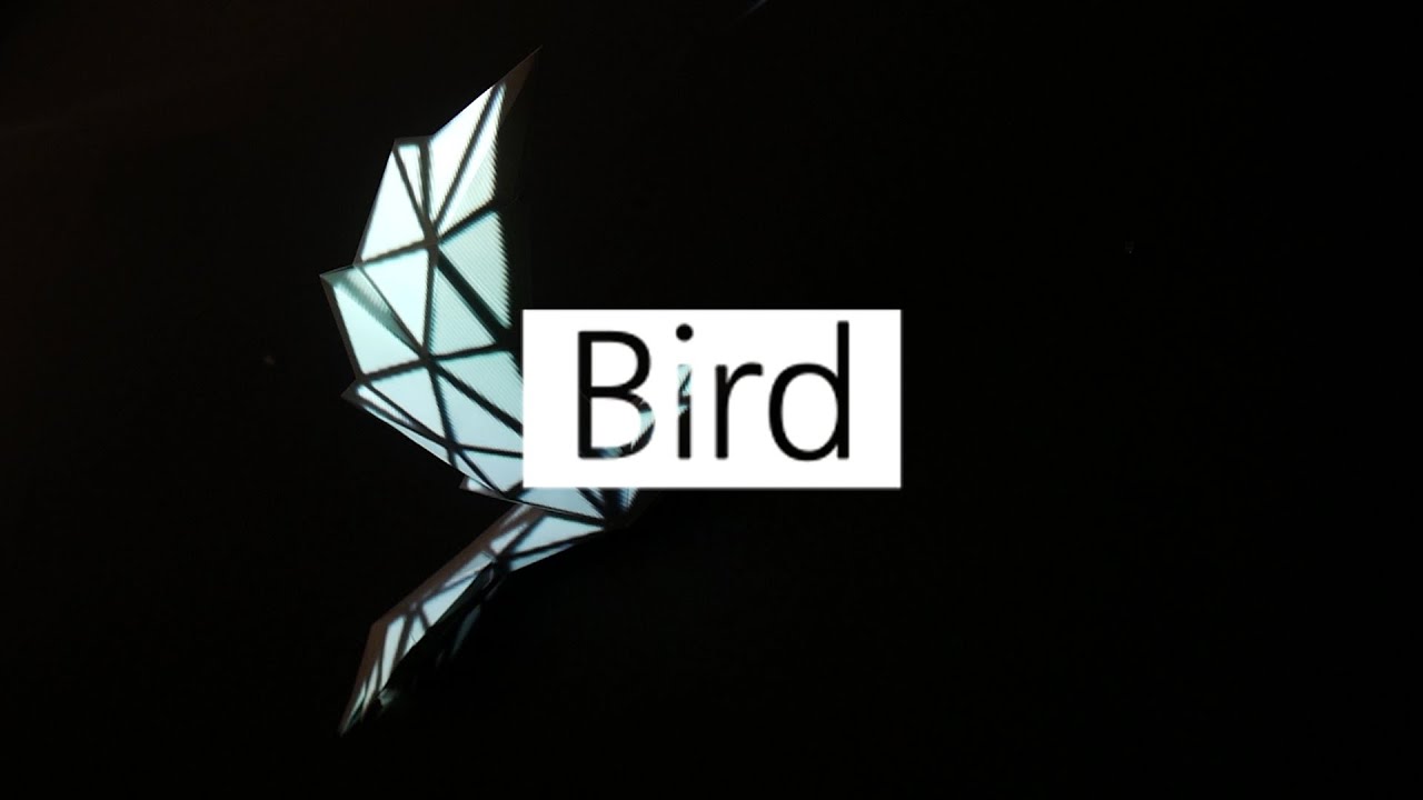 Projection Mapping - Bird with HeavyM