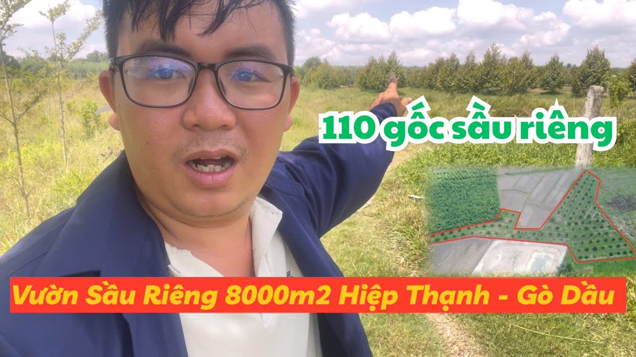bán vườn sầu riêng 8000m2 gần khu công nghiệp hiệp thạnh gò dầu chỉ hơn 2 tỷ xíu thôi