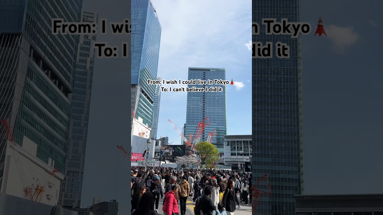 Life in Tokyo 🗼|  Beardo in Japan  | 