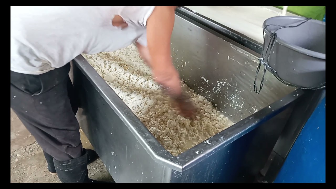 Elaboracion de Productos Lacteos ( mantequilla , cuajada , quesillo y queso )