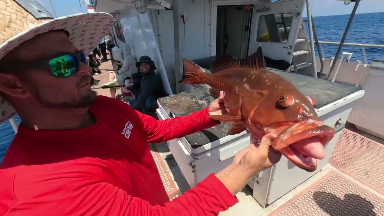 Yankee Capts Pulley Ridge LITE - Day 2 (6/13/2023) - Party Boat Fishing out of Key West, Florida