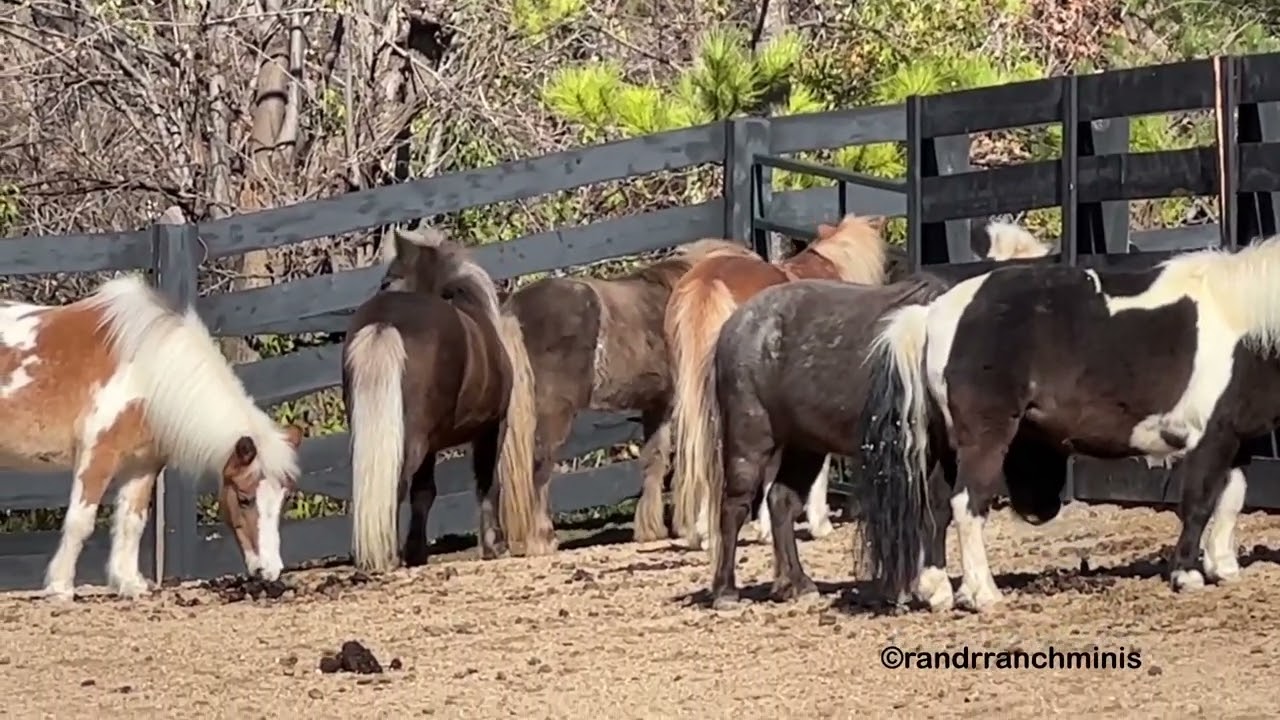Clarence learns the art of making friends, and it’s not easy