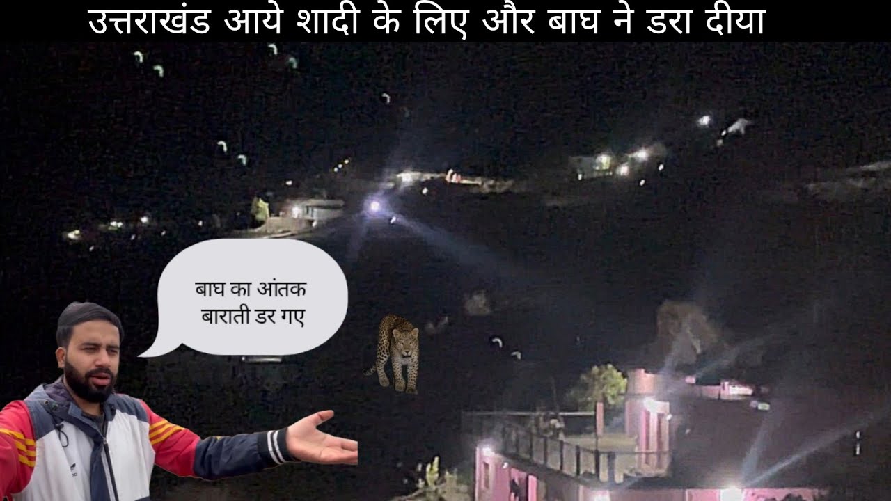 उत्तराखंड आये शादी के लिए और बाघ ने डरा दीया 