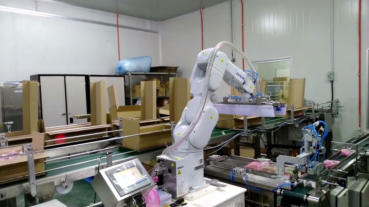 Box Stacking COBOT & cartonizing with Epson Robot