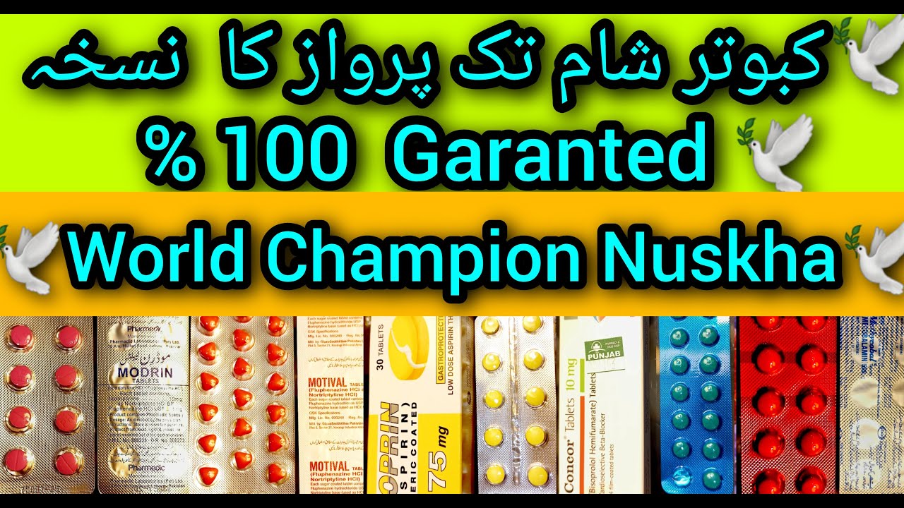 Kabootar ki sham tak parwaz ka Nuskha | kabootar ke nuskhay ki video