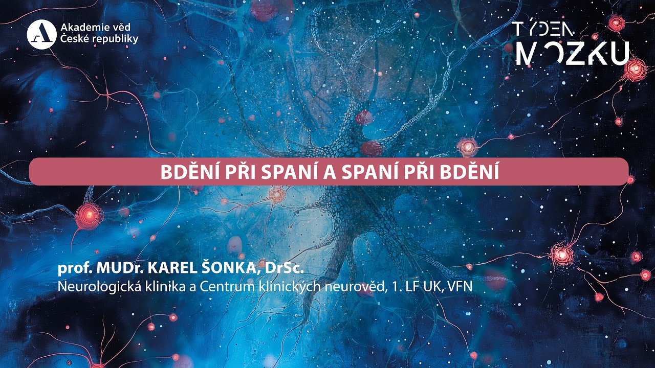 Bdění při spaní a spaní při bdění