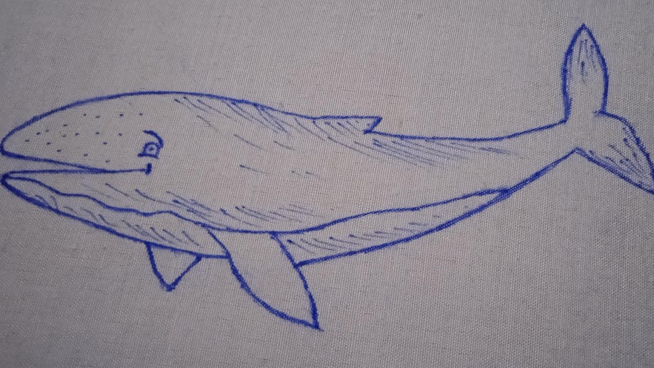 Blue Whale Hand Embroidery,embroidery design