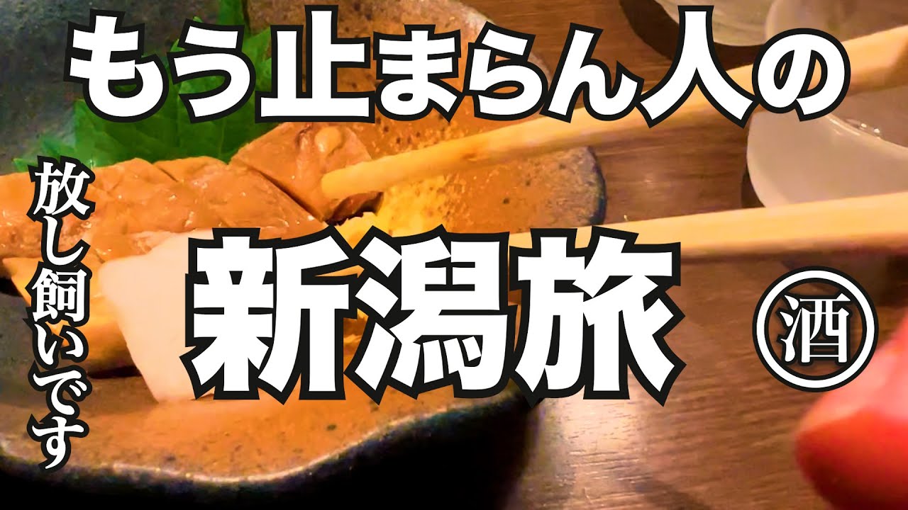 新潟グルメで肝臓終日フリープラン。真似したくなる自由過ぎた二泊三日の適当ひとり旅。
