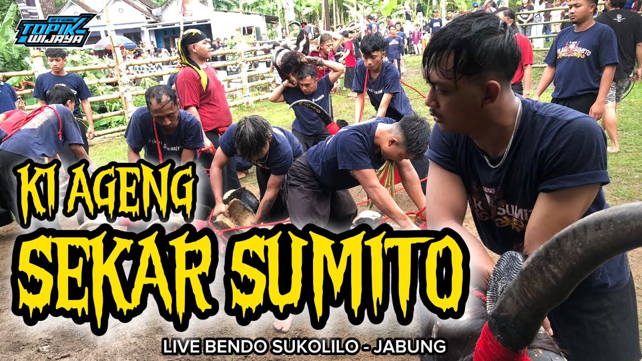 MBEROT ASIK‼️KI AGENG SEKAR SUMITO Kalapan Full Gayeng Live Bendo Sukolilo Jabung