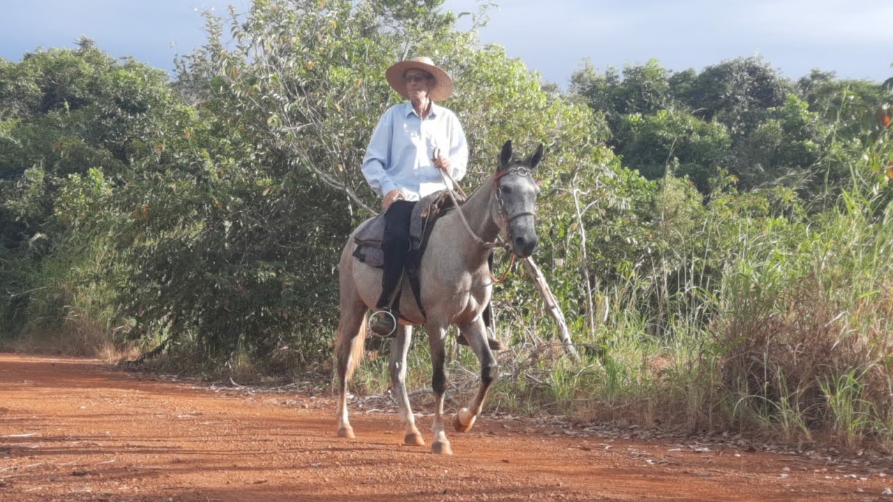 A Tropeada