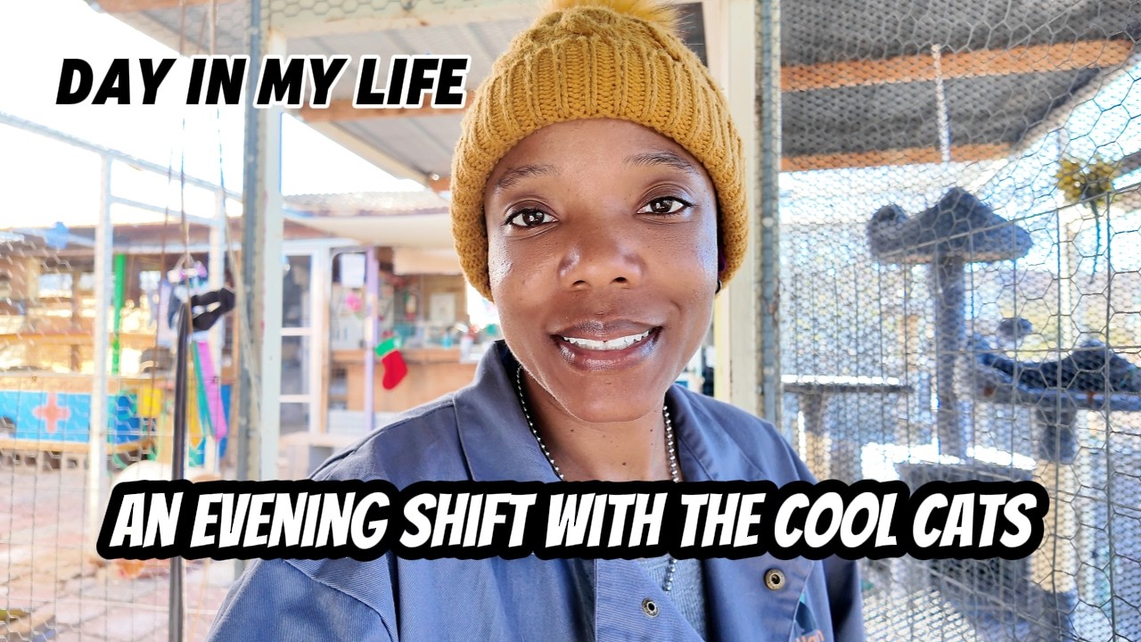 Life Of A Workcamper | Animal Rescue Volunteer