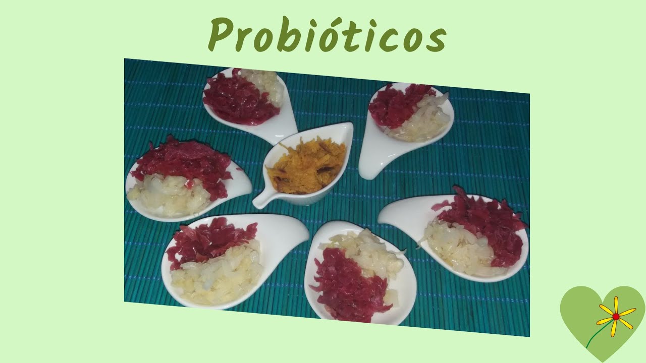 Probióticos   - O que são e porque precisamos! deles