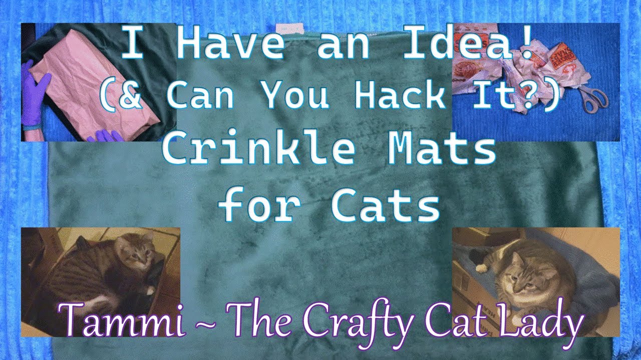 I Have an Idea! (& Can You Hack It?) Crinkle Mats for Cats